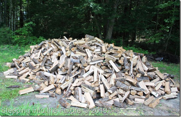 wood pile 2019